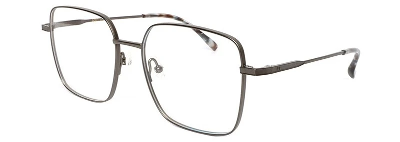 Metal Frame Titanium Seen Eyewear