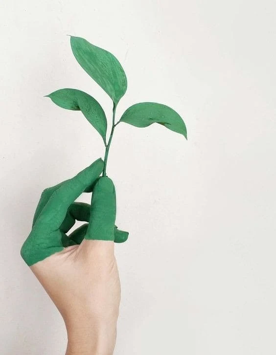 types of materials are recyclable, compostable, and biodegradable