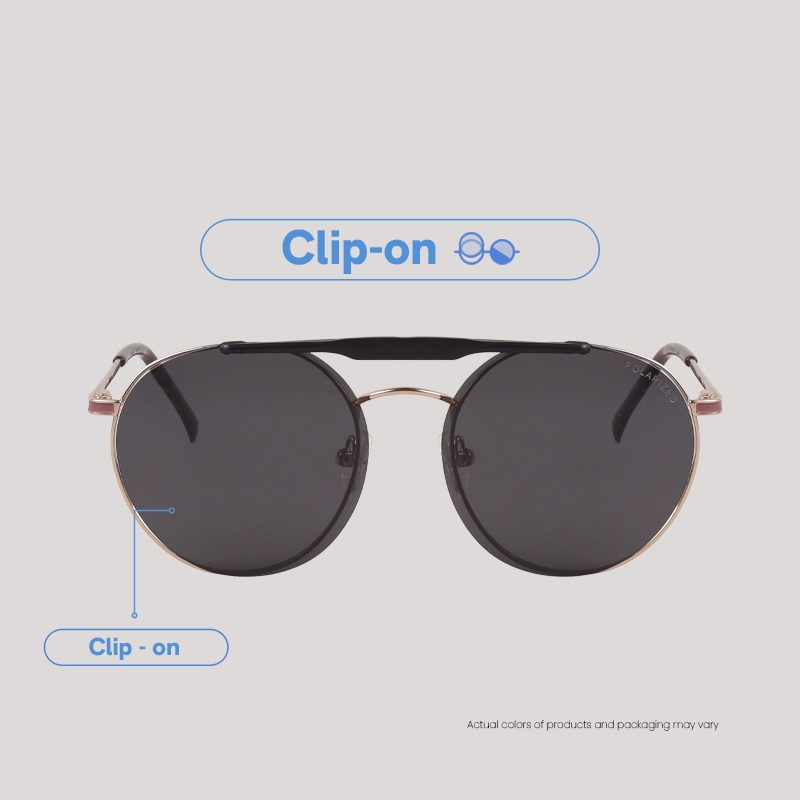 EO SUNWEAR_(SG)_MATTHIS_S.GOLD_CLIPON_WEBF