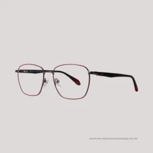 EO_(FR)_NEIL_S.GUN_WEBS