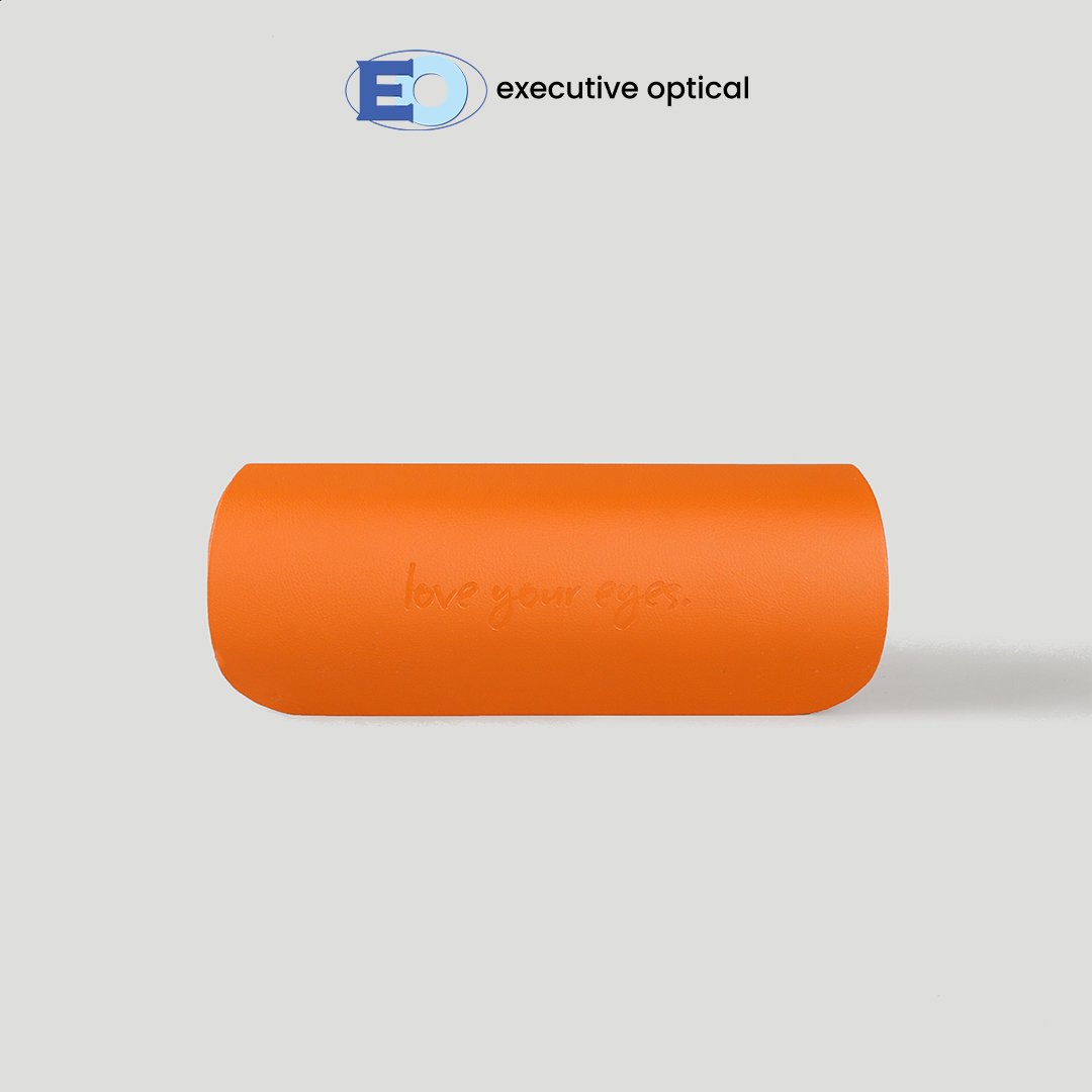 1 COVER PHOTO - EO CASE CH5262 BROWN