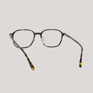 VISUALITIES_(FR)_RASA_SHINYDEMI_WEBB