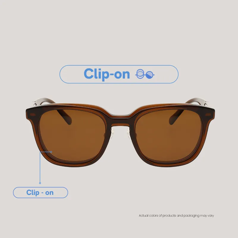 EO SUNWEAR_(SG)_AUREN_C. BROWN_CLIPON_WEBF