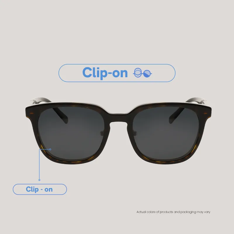 EO SUNWEAR_(SG)_AUREN_DEMI_CLIPON_WEBF