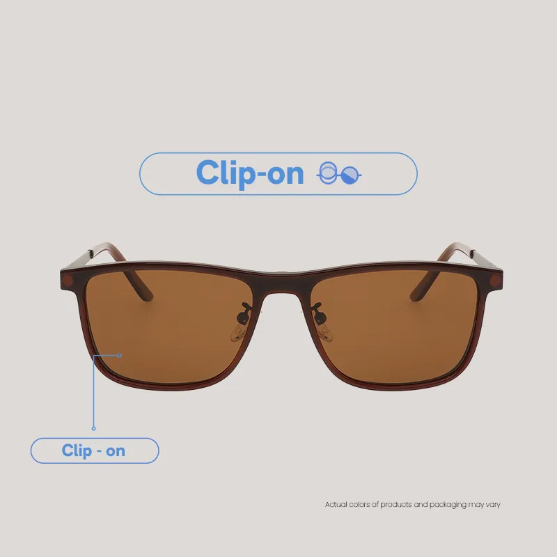 EO SUNWEAR_(SG)_CASSI_M. BROWN_CLIPON_WEBF
