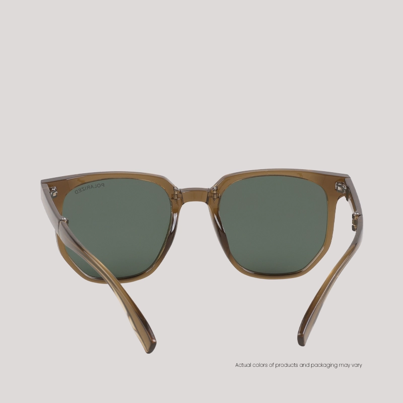 EO SUNWEAR_(SG)_CINQUE_S.OLIVE_WEBB