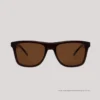 EO SUNWEAR_(SG)_AELIN_C7_WEBF