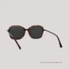 EO SUNWEAR_(SG)_MAVEN_C3_WEBB