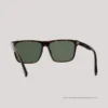 EO SUNWEAR_(SG)_NAVANI_C3_WEBB