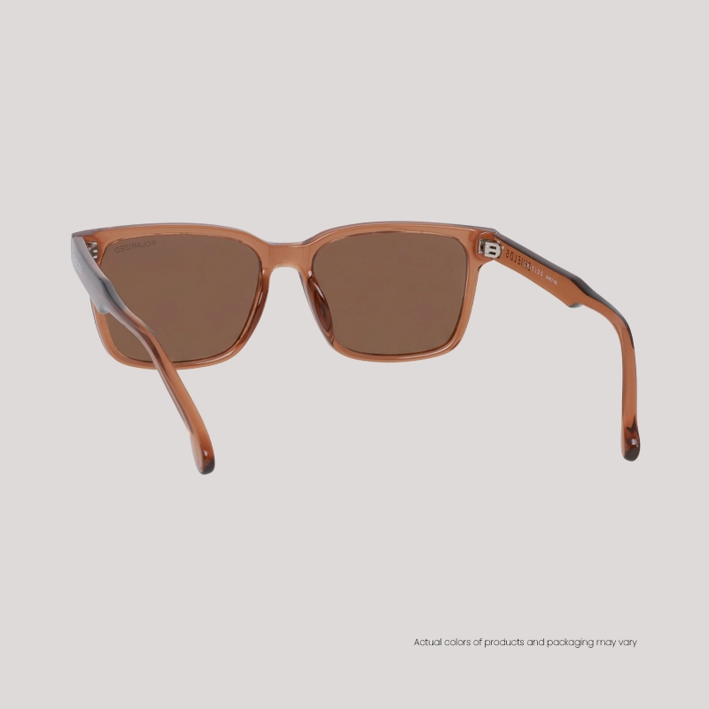 EO Shields SH25003 C3 S T Brown Sunglasses WEBB