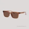 EO Shields SH25003 C3 S T Brown Sunglasses WEBS