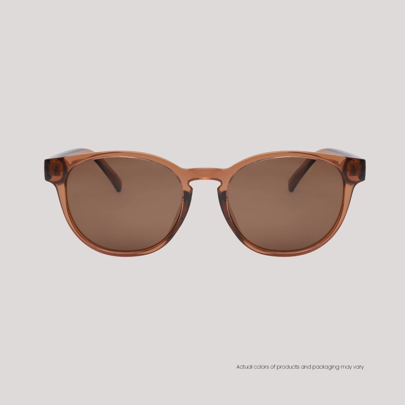 EO Shields SH25004 C3 S T Brown Sunglasses WebF