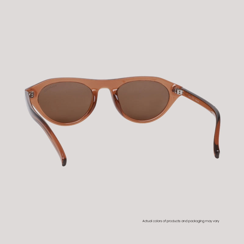 EO Shields SH25005 C3 S T Brown Sunglasses WebB