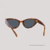 EO Shields SH25009 C2 S D AS Sunglasses WebB