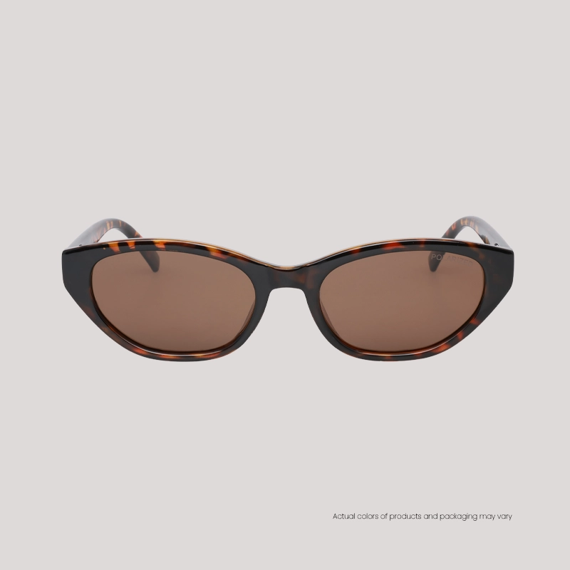 EO Shields SH25011 C2 S D Brown Sunglasses WebF