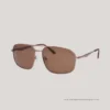 Shields SH25017 S D Brown Sunglasses Web Side
